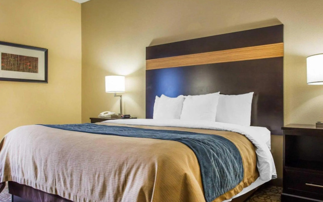 1 Bedroom Standard room