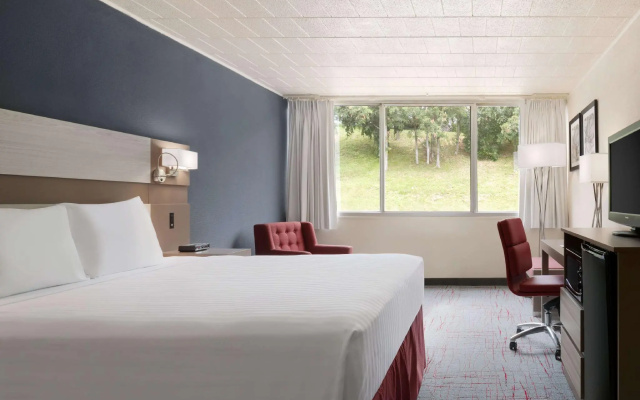 1 Bedroom Double Suite