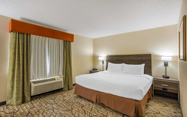 Standard Double room