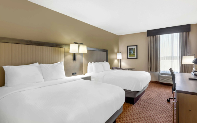 Business Quadruple room