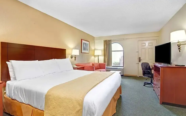 Pet-Friendly room
