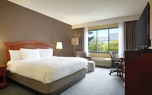 Premium room