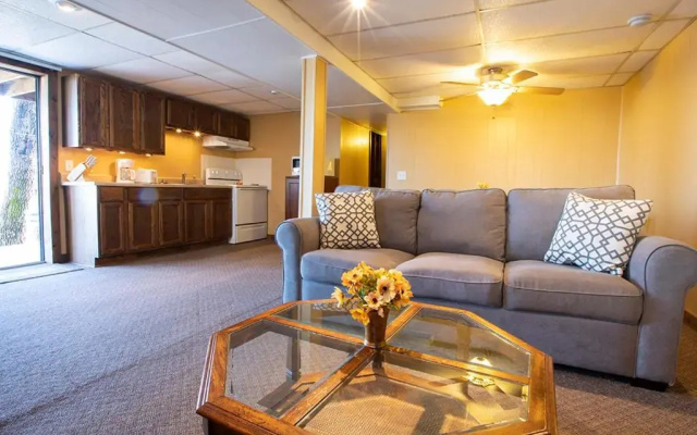 Deluxe Apartment