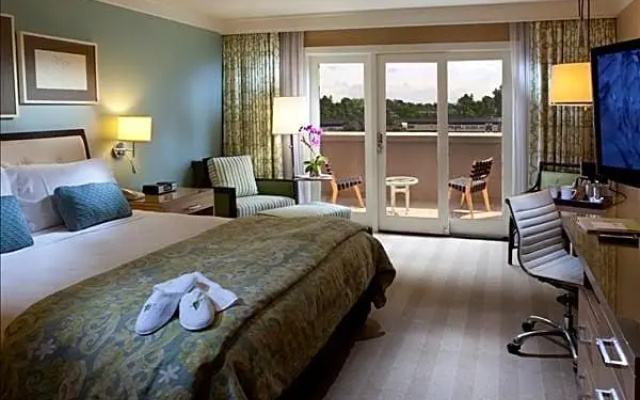 Standard Double room with balcony and with pool view
