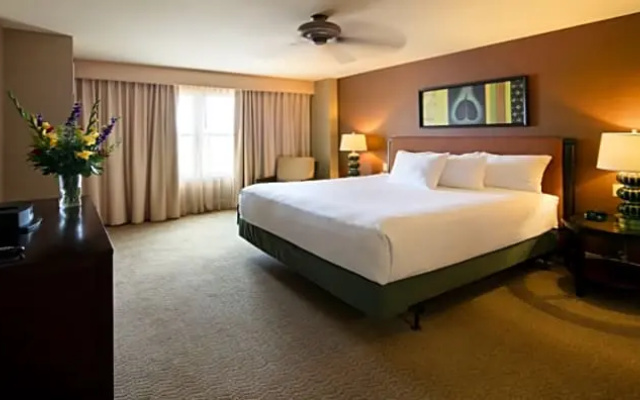 Standard Junior Suite