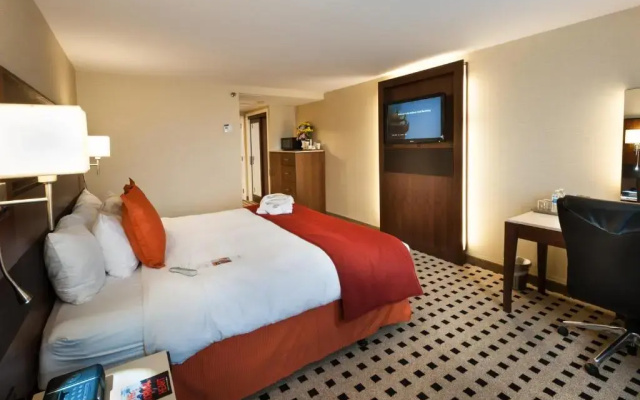 1 Bedroom Double Suite