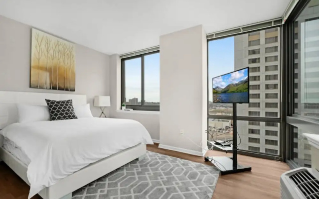 Luxury Apartment