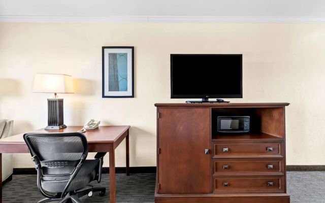 Standard Double room with ocean view
