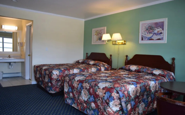 Classic Quadruple room with pool view