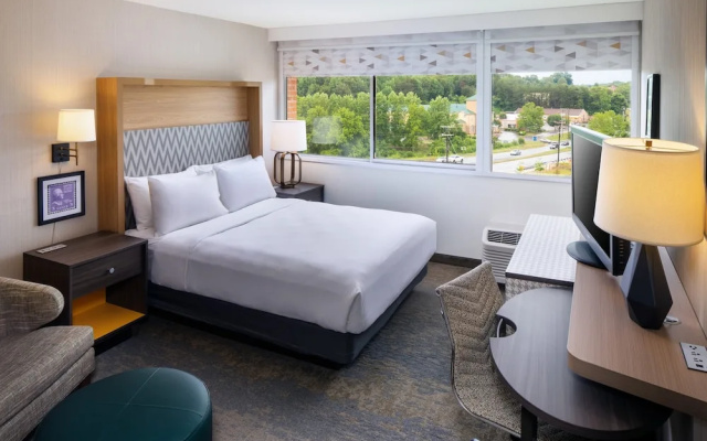 1 Bedroom Suite