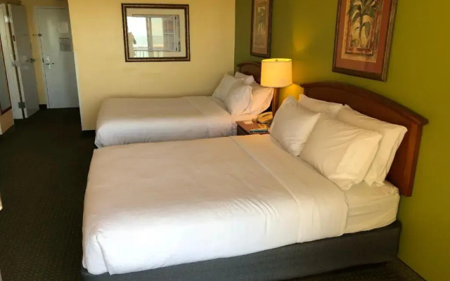 Suite with view