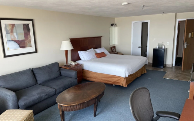 Standard Double room with balcony and with ocean view