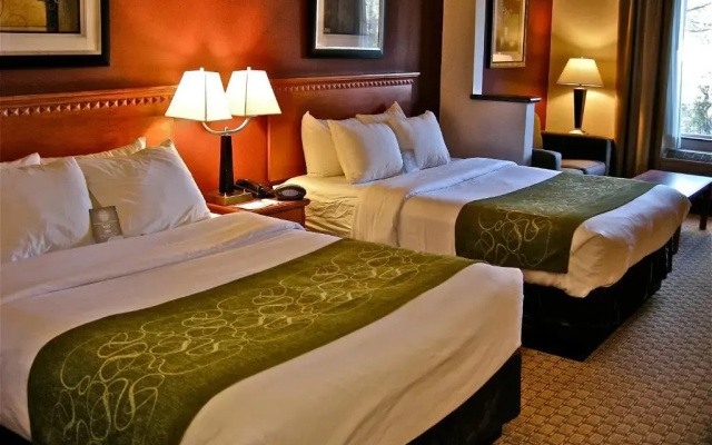Standard Suite