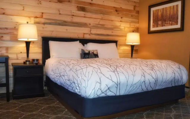 Deluxe Double room with river view