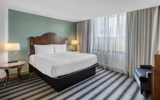 Premium Double Suite