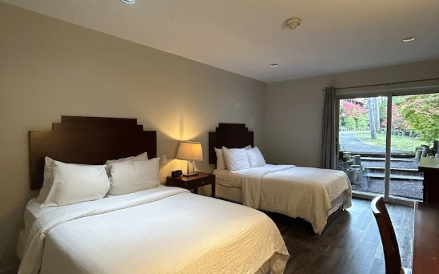Standard Double room with balcony and with courtyard view