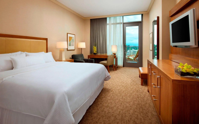Deluxe Double room with balcony