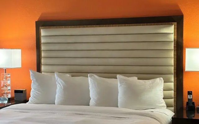 Double Suite with city view