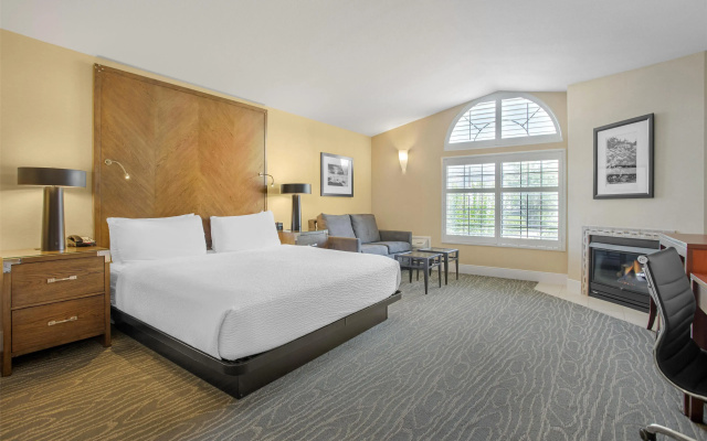 Double Suite with mountain view