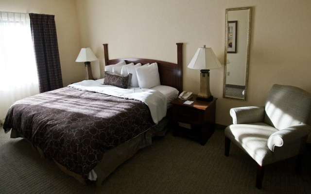 1 Bedroom Double Suite