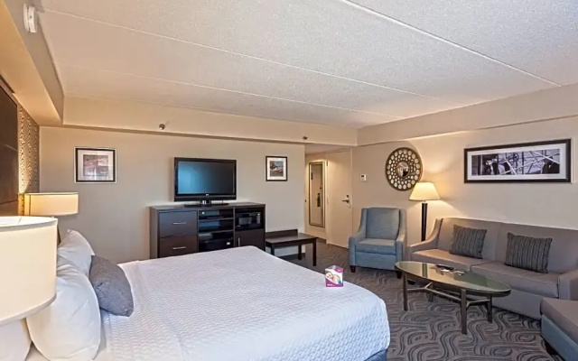 1 Bedroom Double Suite