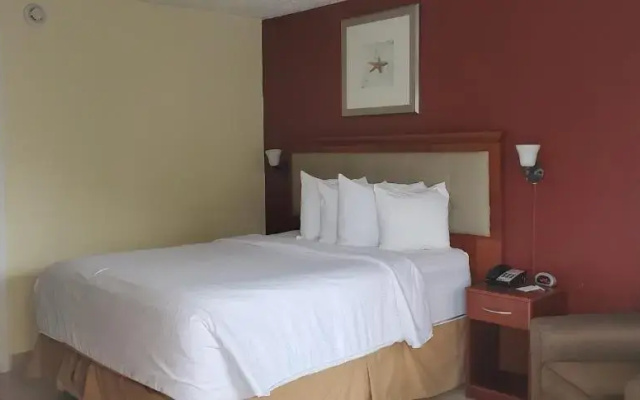 Standard Double room with harbour view