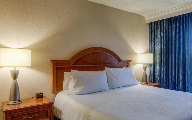 1 Bedroom Double Suite