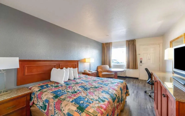 Standard Double room with pool view