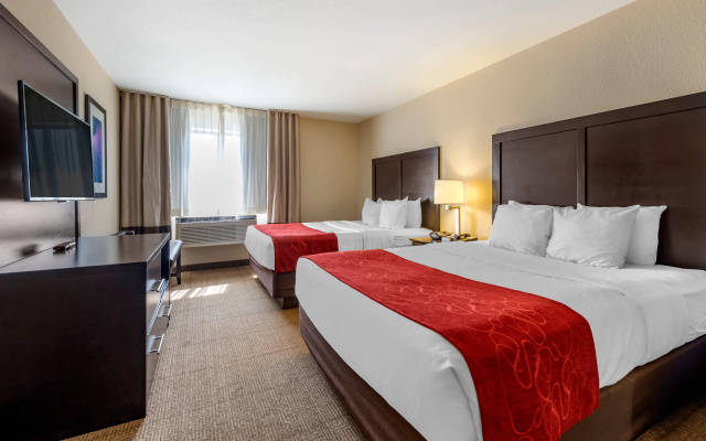 Quadruple Suite