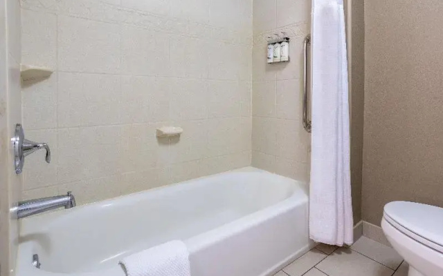 Standard Suite