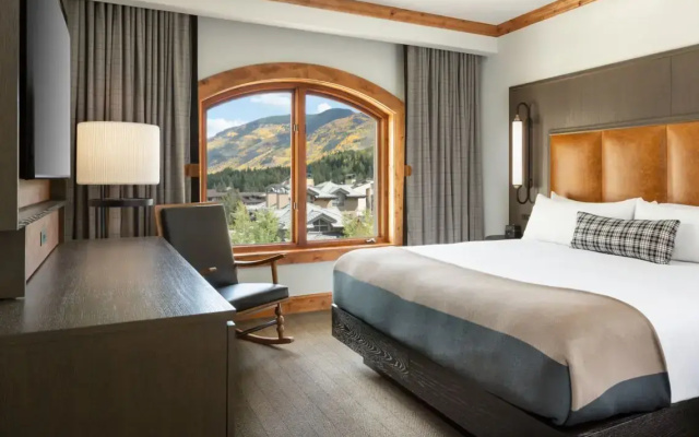 1 Bedroom Junior Suite