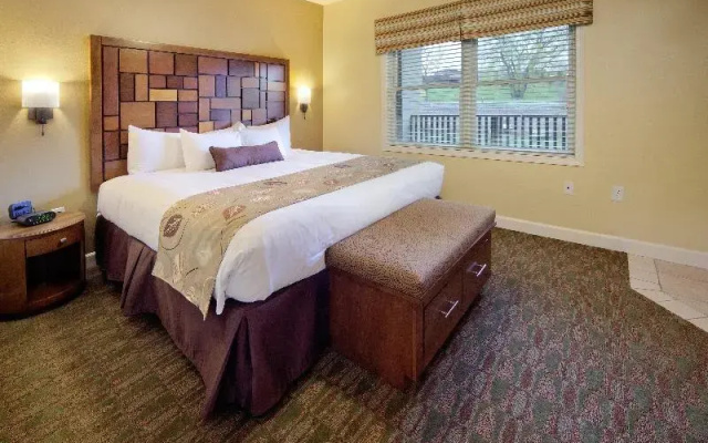 1 Bedroom Standard Double room