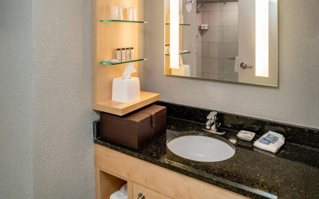 1 Bedroom Presidential Double Suite