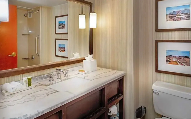 1 Bedroom Presidential Double Suite