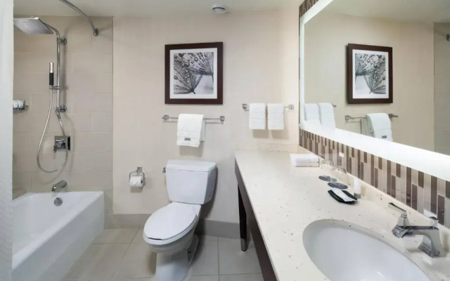 1 Bedroom Executive Suite