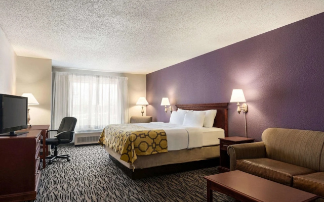 Studio Double Suite