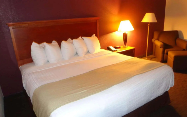 1 Bedroom Double Suite