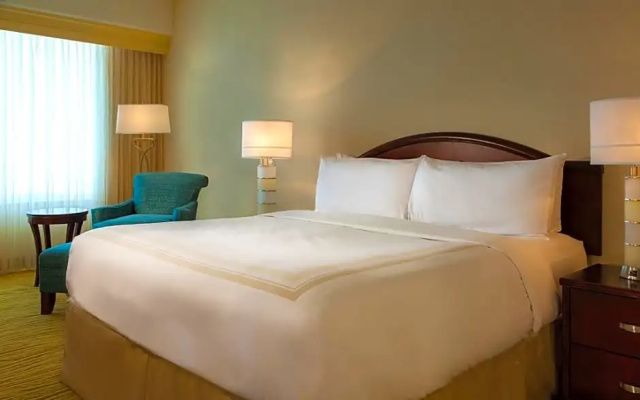 1 Bedroom Suite