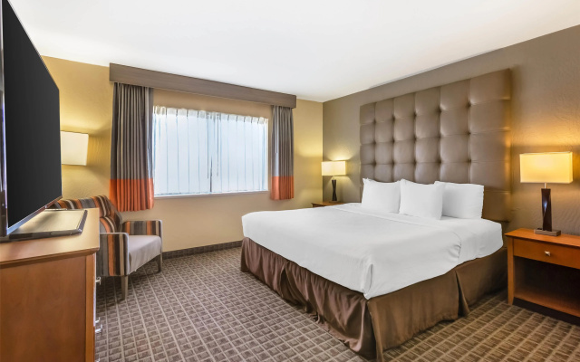 Double Suite