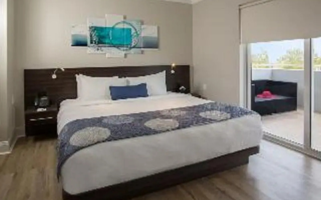 Suite