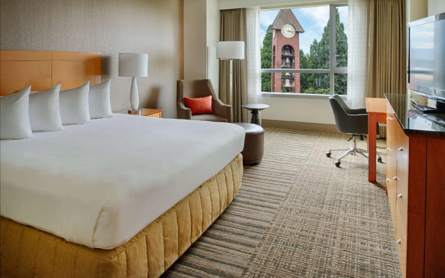 Standard Double room with park view