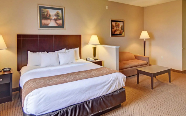 1 Bedroom Suite