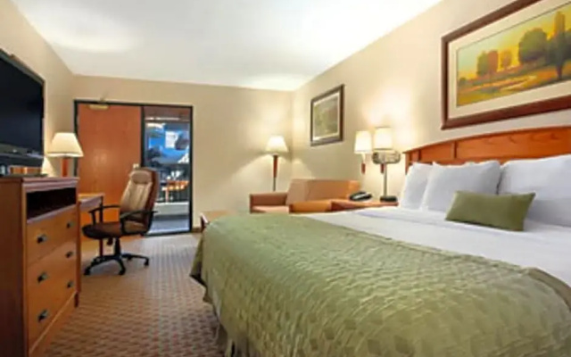 2 Bedrooms Sextuple Suite