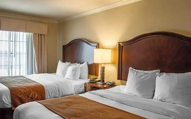 Comfort room