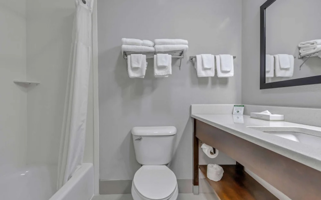 Standard Quadruple Basement room