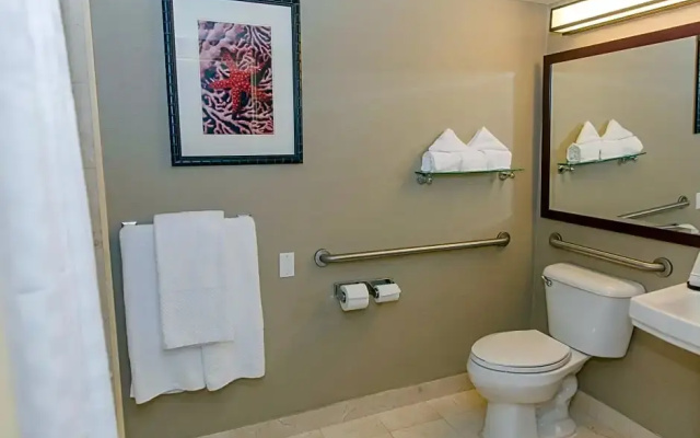 1 Bedroom Double Studio