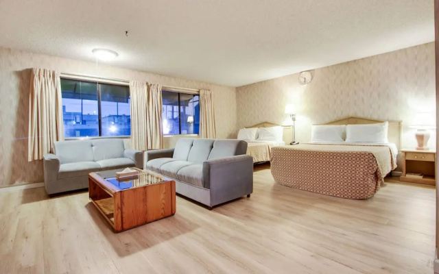 Standard Suite