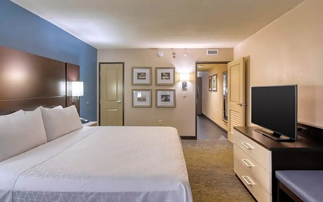 1 Bedroom Double Suite