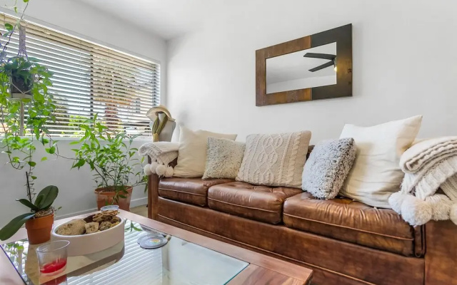 Classic Apartment