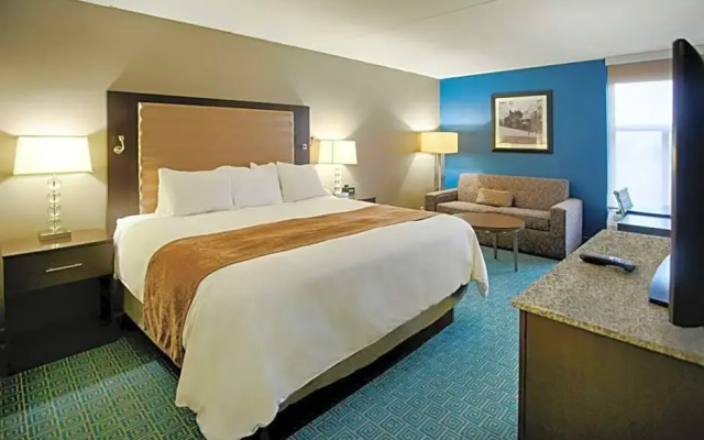 Standard Suite